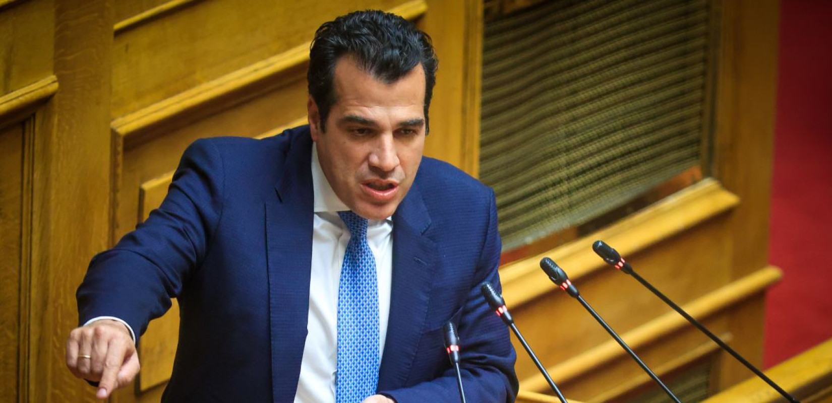Θ. Πλεύρης: Όσοι παίρνουν άσυλο θα μπαίνουν στην αγορά εργασίας