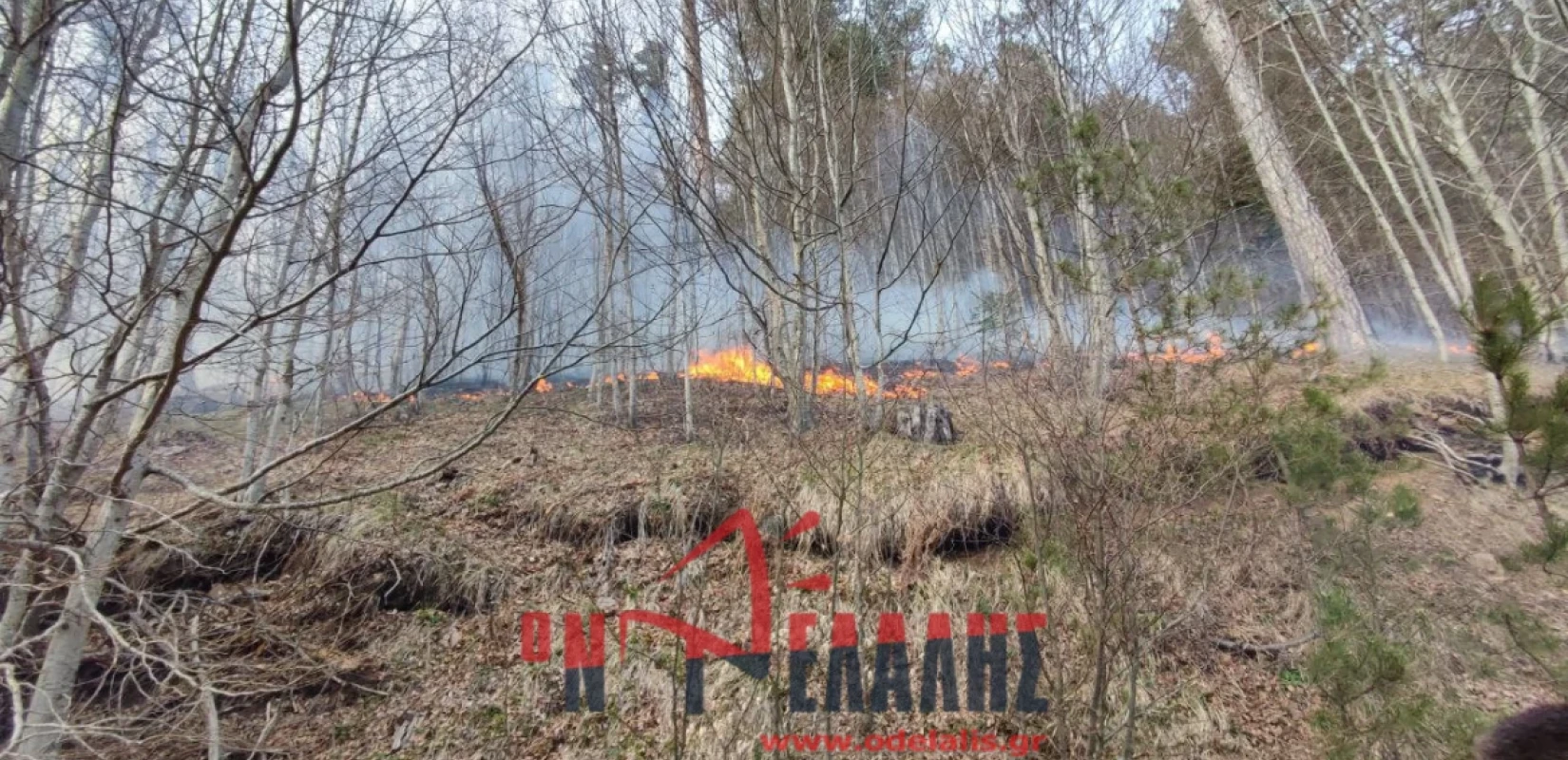 Οριοθετήθηκε η πυρκαγιά στα Πιέρια Όρη μετά από 4 ημέρες