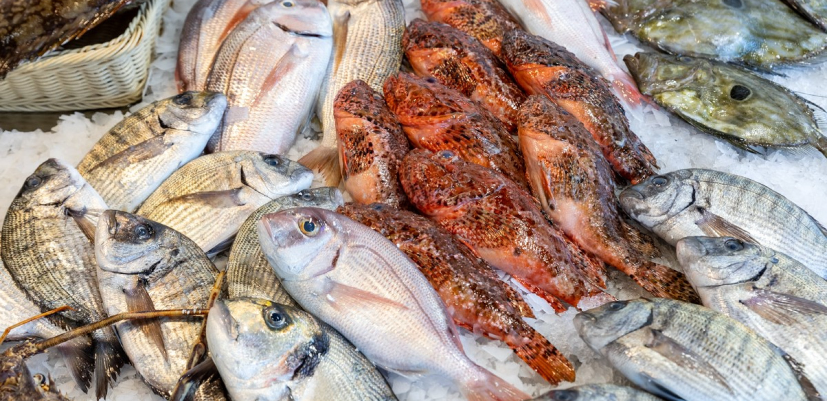 Ιχθυοπωλείο Βασίλειος Σταμίδης: Για αποκλειστικά ελληνικά ψάρια κατευθείαν από τους αλιείς