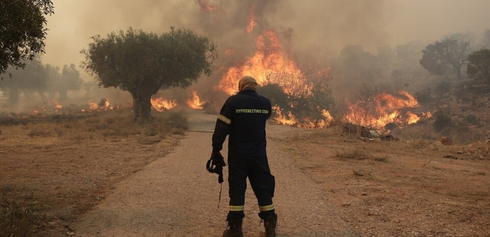 Πυροσβεστική: 32 αγροτοδασικές πυρκαγιές το τελευταίο 24ωρο σε όλη τη χώρα