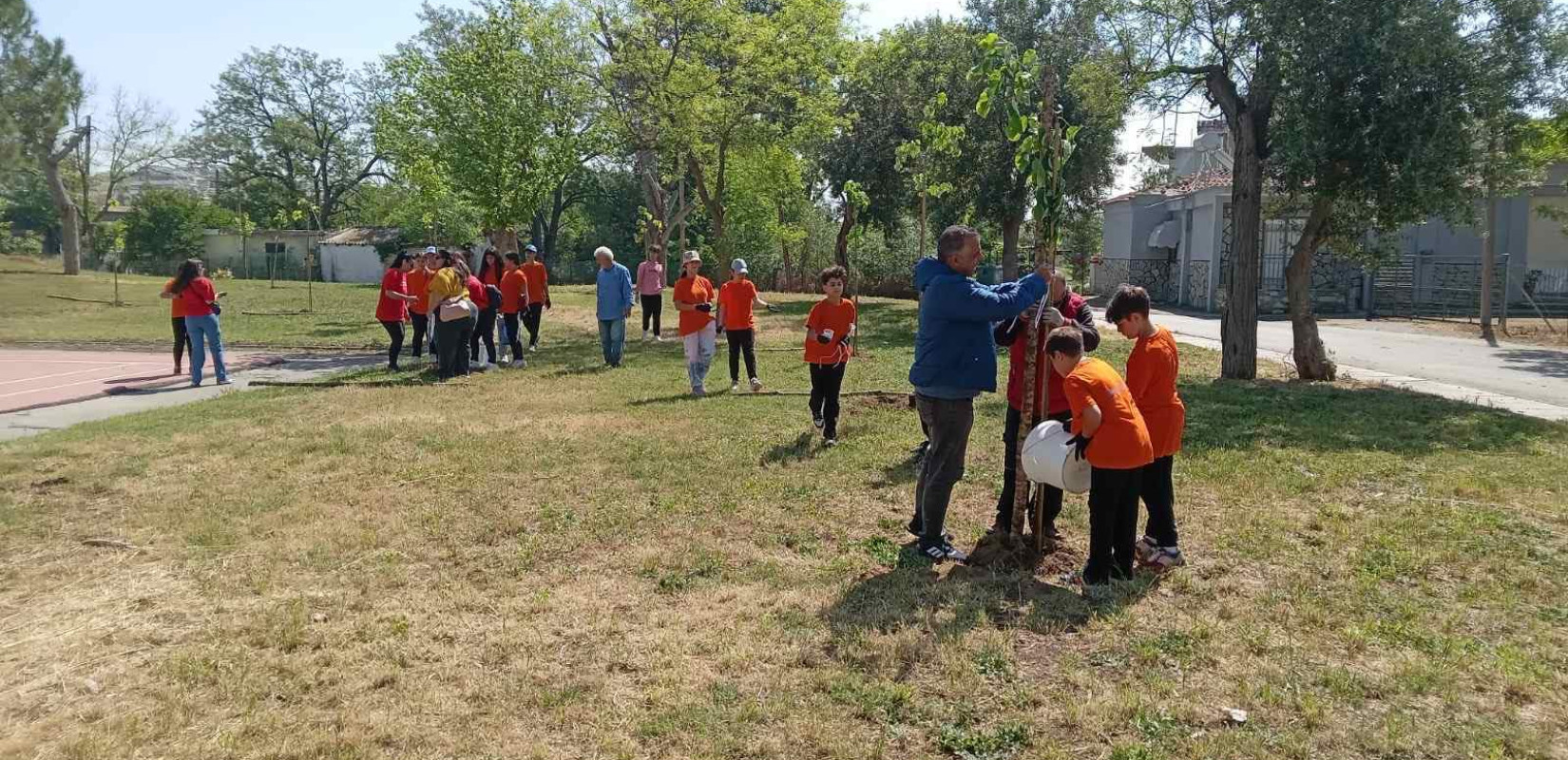 Θεσσαλονίκη: 57+1 δέντρα στη μνήμη των θυμάτων της τραγωδίας στα Τέμπη
