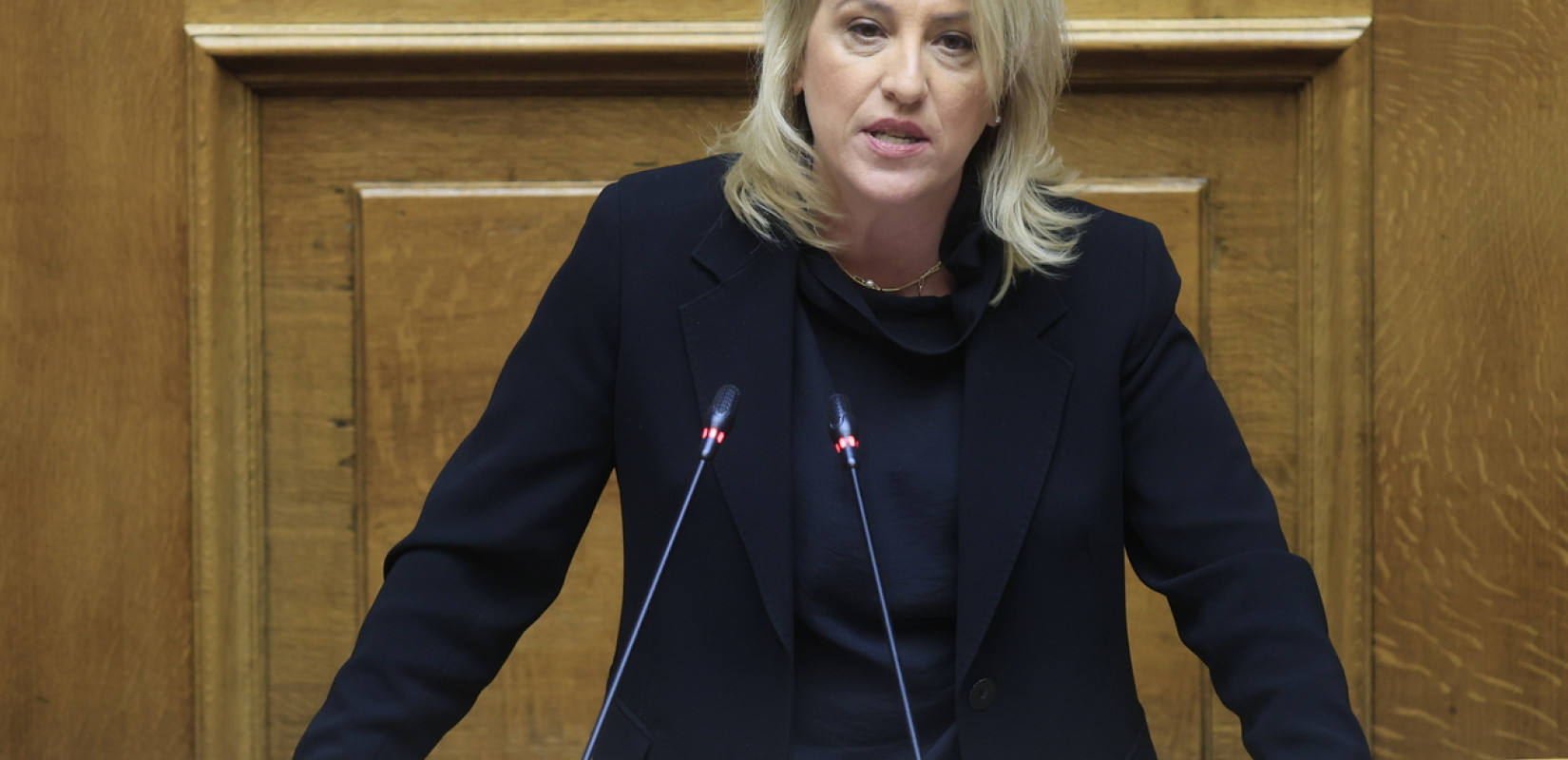 Ρ. Δούρου: Οι συνεντεύξεις του Γ. Γεραπετρίτη πολλαπλασιάζουν τις σοβαρές ανησυχίες για το περιεχόμενο του ελληνοτουρκικού διαλόγου