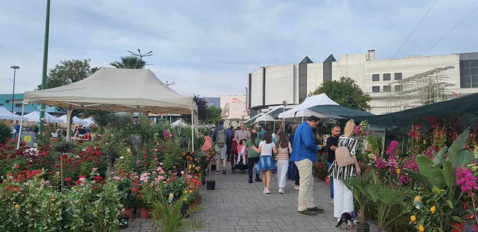 Θεσσαλονίκη: Μύρισε άνοιξη στον προαύλιο χώρο της ΔΕΘ - Ξεκίνησε η καθιερωμένη Ανθοέκθεση