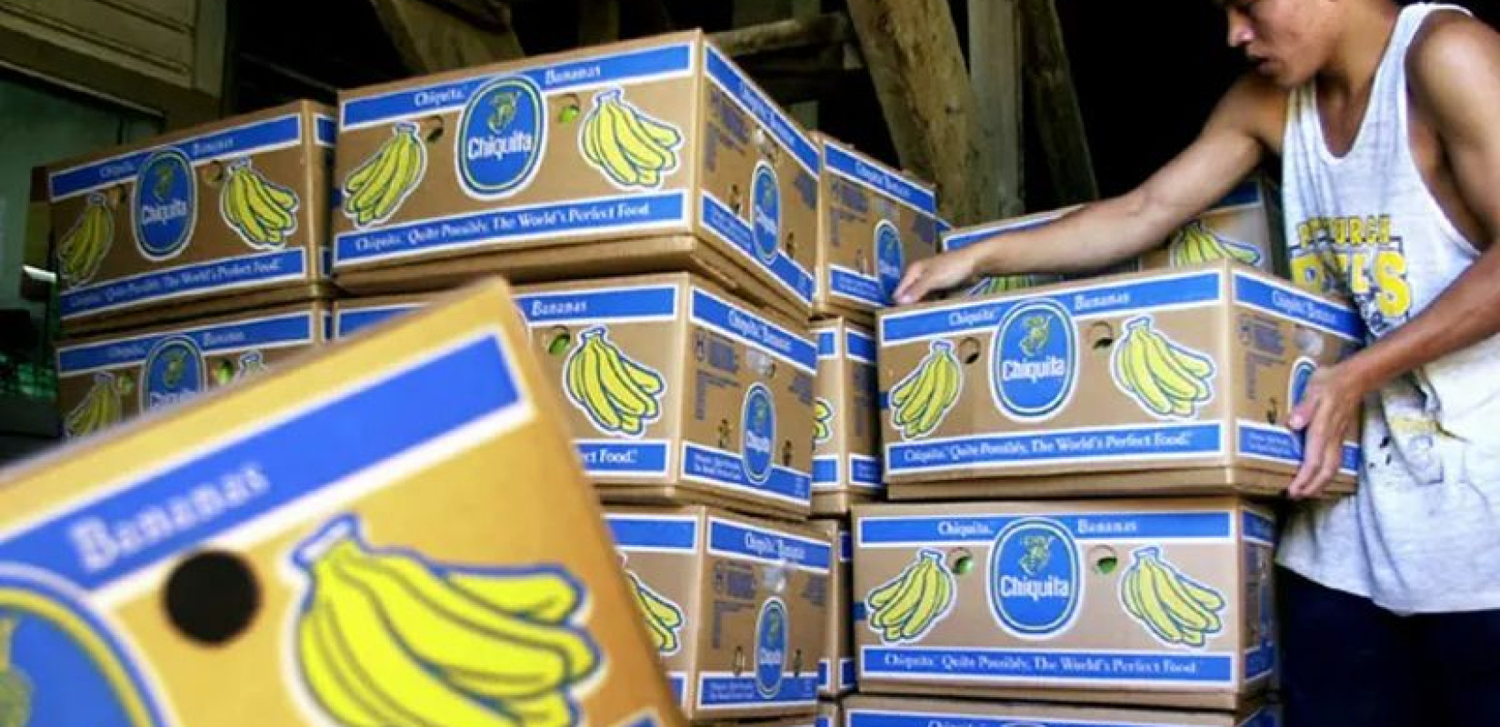 Κολομβία: Ποινές κάθειρξης σε επτά πρώην στελέχη της Chiquita για τη χρηματοδότηση παραστρατιωτικών