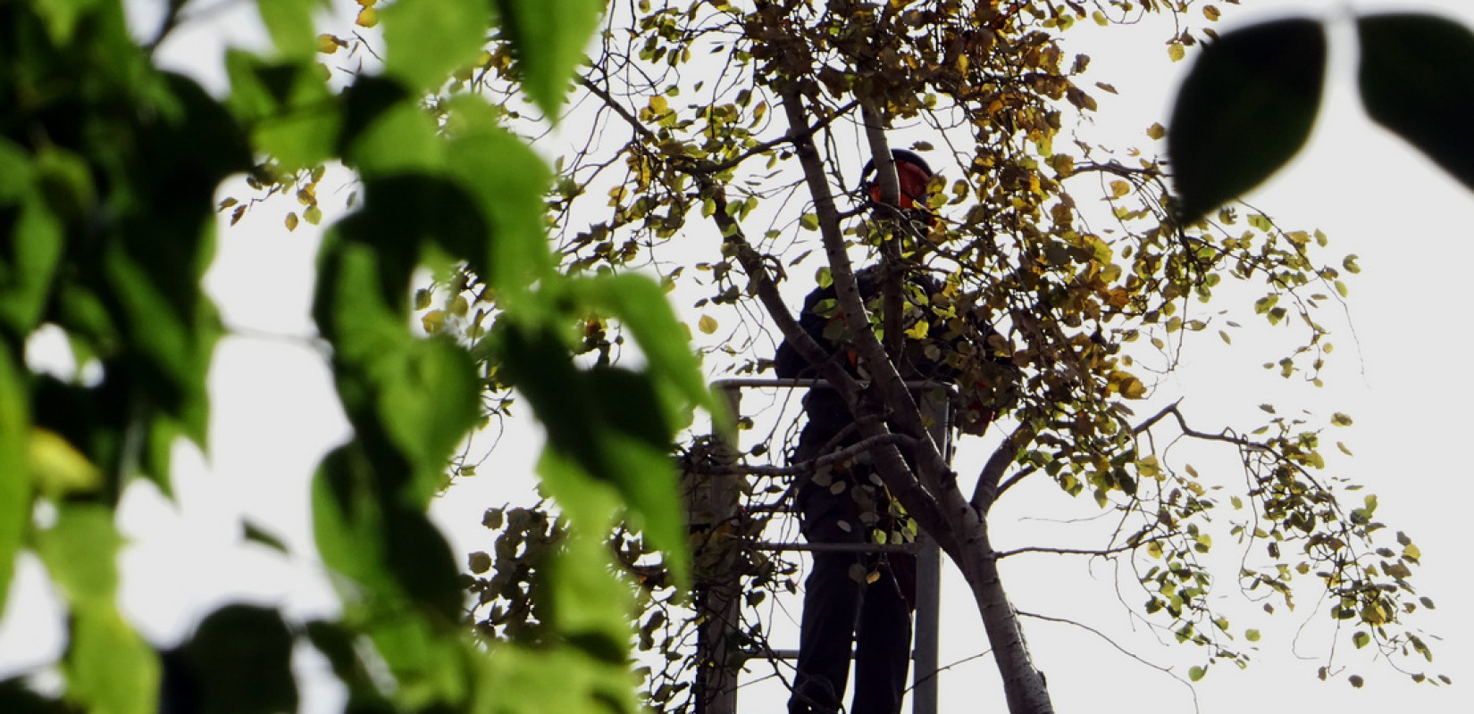 Ακίνητα: Το μπάχαλο με την πυροπροστασία έφερε «κούρεμα» στα μέτρα Ακίνητα: Το μπάχαλο με την πυροπροστασία έφερε «κούρεμα» στα μέτρα