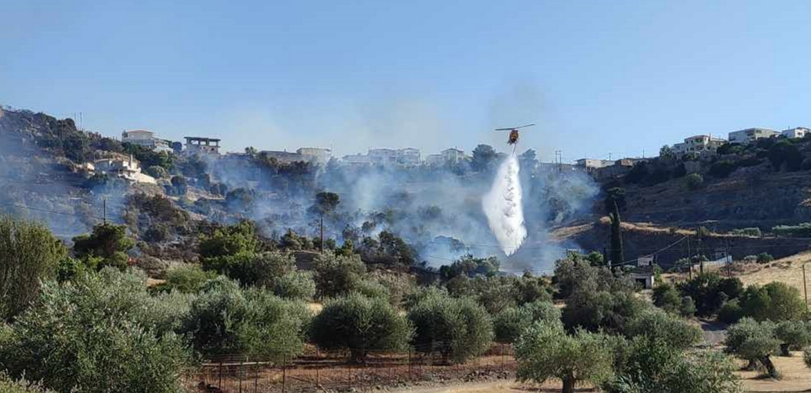Υπό μερικό έλεγχο η φωτιά στα Μεσοχώρια Ευβοίας - Άμεση επέμβαση της πυροσβεστικής