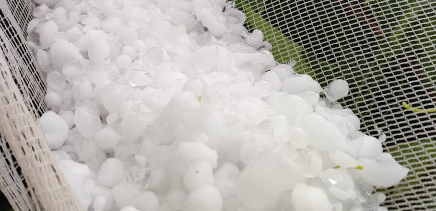 Άρτα: Ελαιώνες καταστράφηκαν από την έντονη χαλαζόπτωση