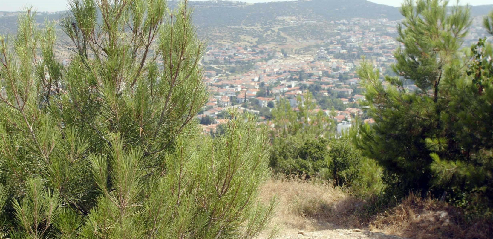 Θεσσαλονίκη: Βλήμα του Β’ Παγκοσμίου Πολέμου εντοπίστηκε στο Σέιχ Σου