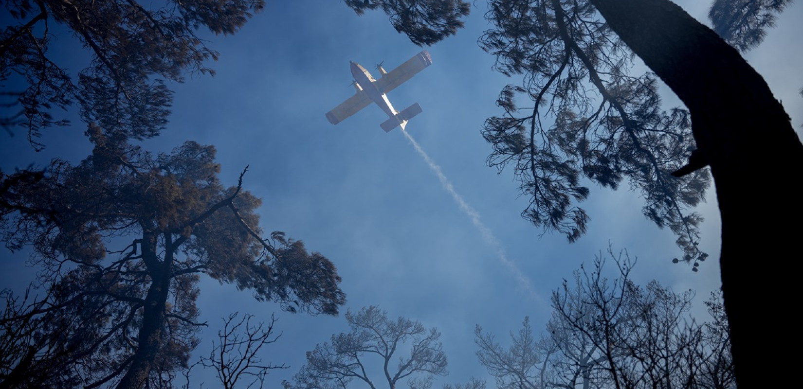 Πυρκαγιά σε αγροτοδασική έκταση στα Πετράλωνα Μεσσηνίας Πυρκαγιά σε αγροτοδασική έκταση στα Πετράλωνα Μεσσηνίας
