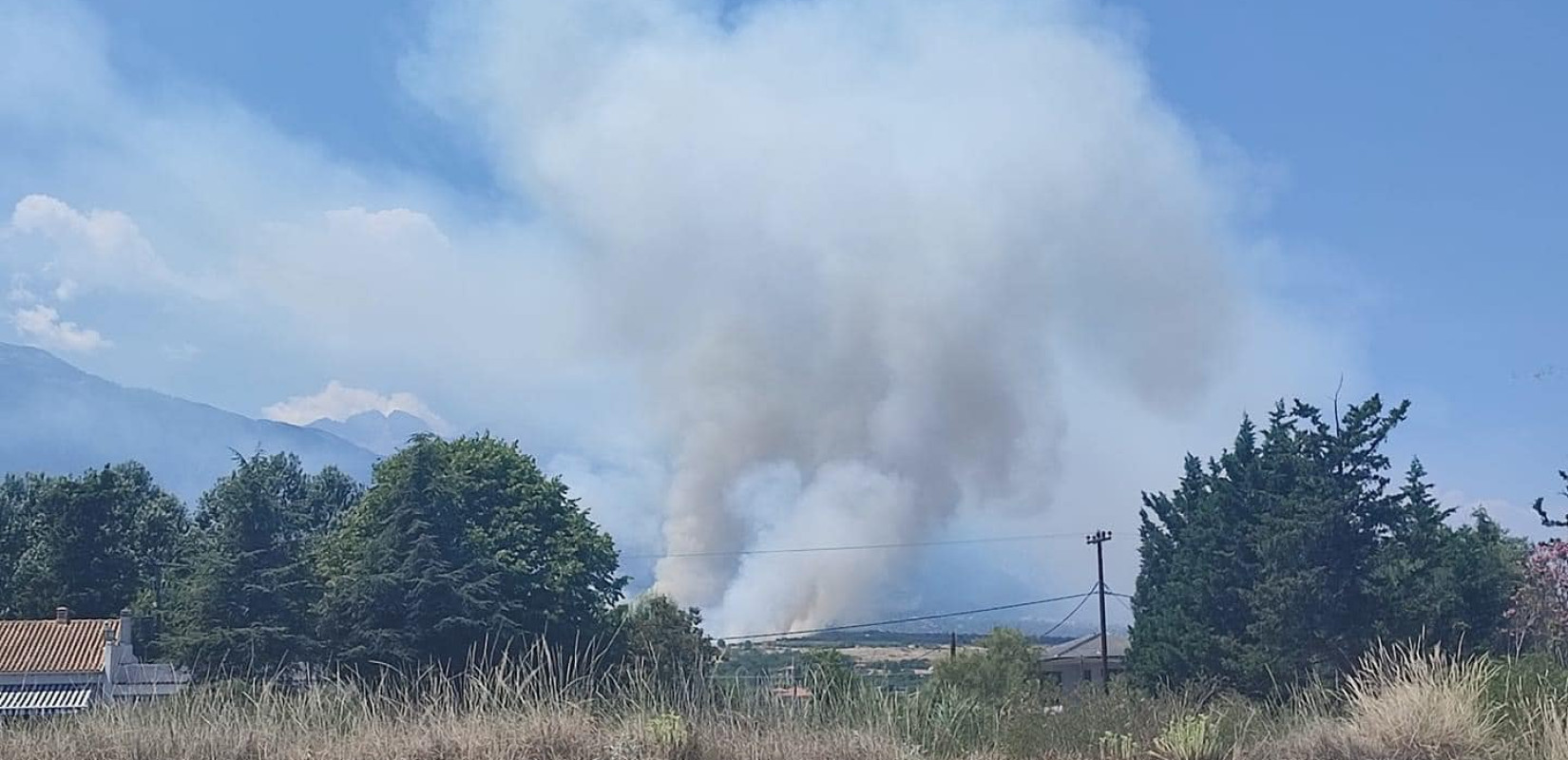 Πιερία: Υπό έλεγχο η φωτιά στην Πλάκα Λιτοχώρου