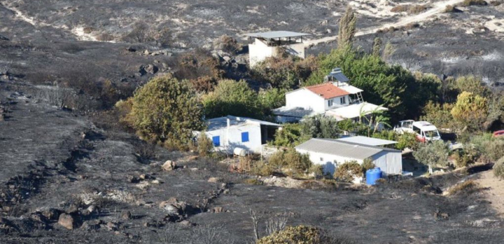 Τουρκία: 3 νεκροί από δασική φωτιά στη Σμύρνη (βίντεο)