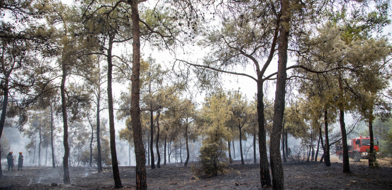 Πυροπροστασία: Το «Maestro» του ΑΠΘ έτοιμο να παρακολουθεί πυρκαγιές Πυροπροστασία: Το «Maestro» του ΑΠΘ έτοιμο να παρακολουθεί πυρκαγιές