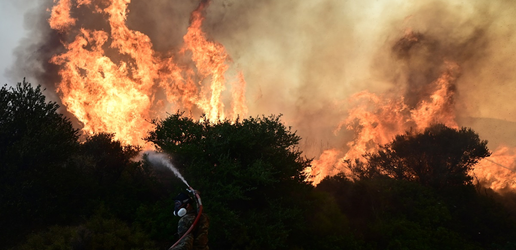 Υψηλός κίνδυνος πυρκαγιάς σήμερα σε Θεσσαλονίκη, Χαλκιδική και Κιλκίς