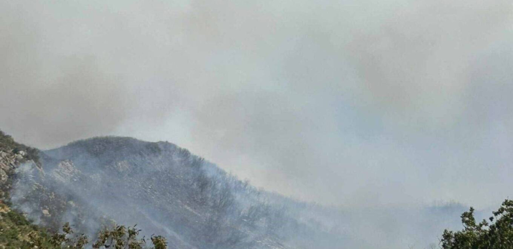 Φωτιά στους Φιλιάτες Θεσπρωτίας– Κρίσιμη νύχτα για τον έλεγχο του μετώπου (φωτ.) Φωτιά στους Φιλιάτες Θεσπρωτίας– Κρίσιμη νύχτα για τον έλεγχο του μετώπου (φωτ.)
