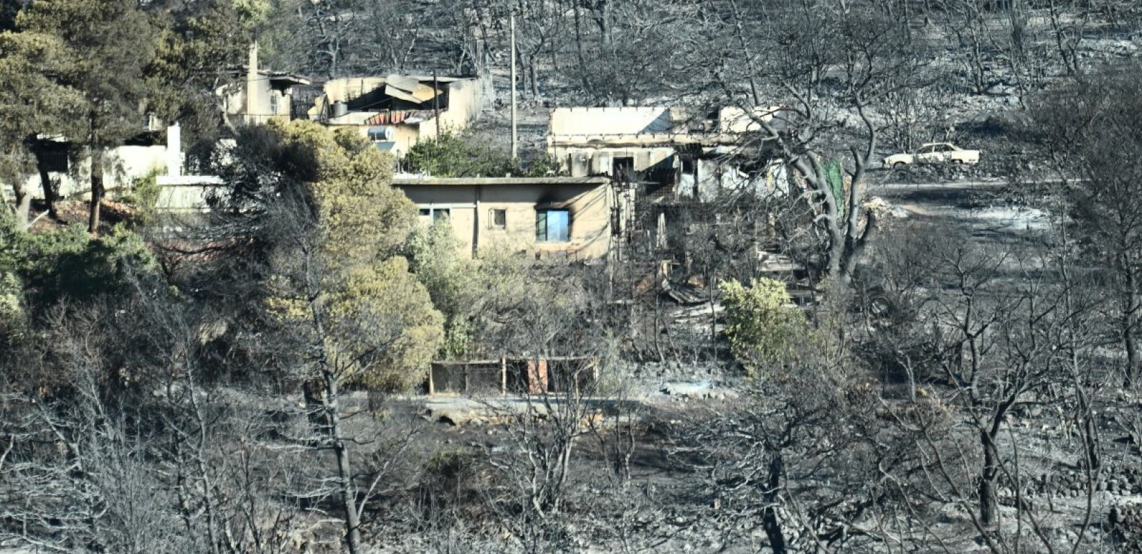 Φωτιά στην Αττική: Σπίτια, επιχειρήσεις και τουλάχιστον 100.000 στρέμματα πρασίνου έγιναν στάχτη (φωτ.)