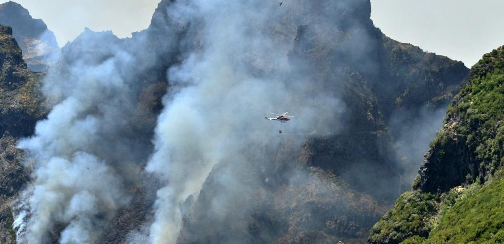 Πορτογαλία: Πυροσβέστης έχασε τη ζωή του κατά την κατάσβεση δασικής πυρκαγιάς