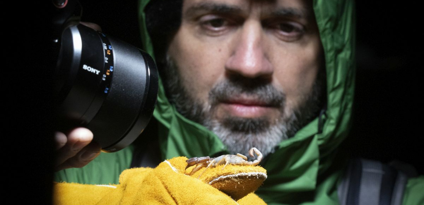 Η... άγρια Ελλάδα αποκαλύπτεται στην κάμερα (φωτ.)