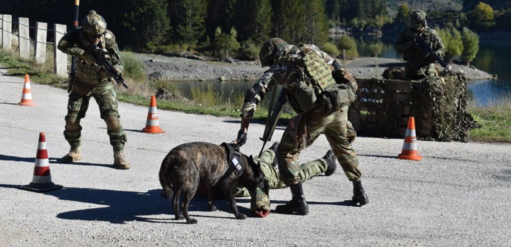 Ολοκληρώθηκε η στρατιωτική άσκηση «Δυναμική Αντίδραση» (φωτ.)