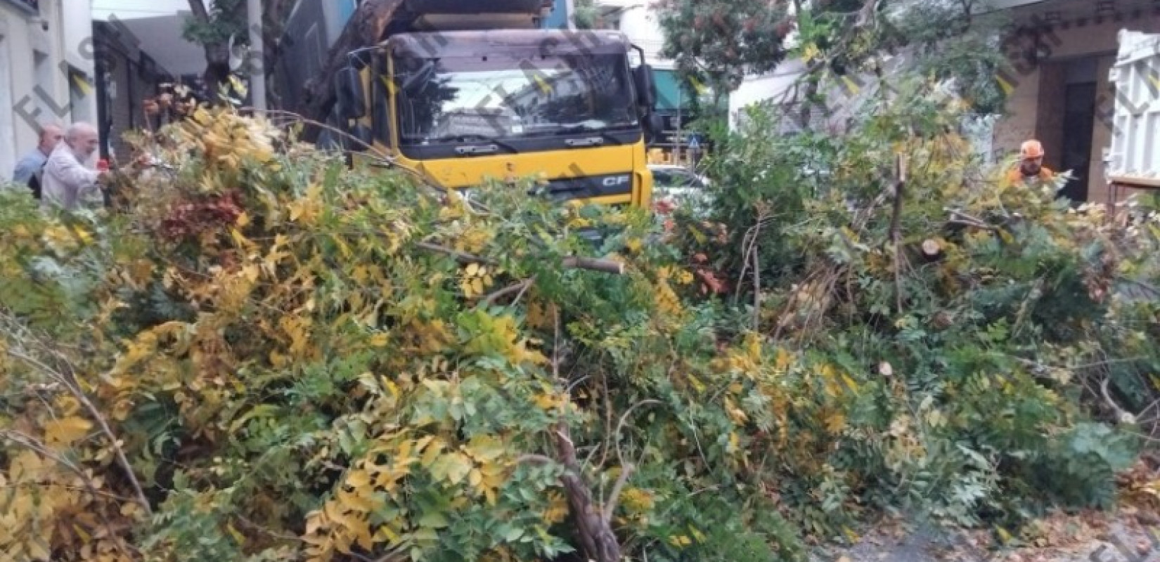 Αθήνα: Φορτηγό έπεσε σε δέντρο και το ξερίζωσε στην Πατησίων - Κυκλοφοριακό κομφούζιο στην περιοχή (βίντεο)