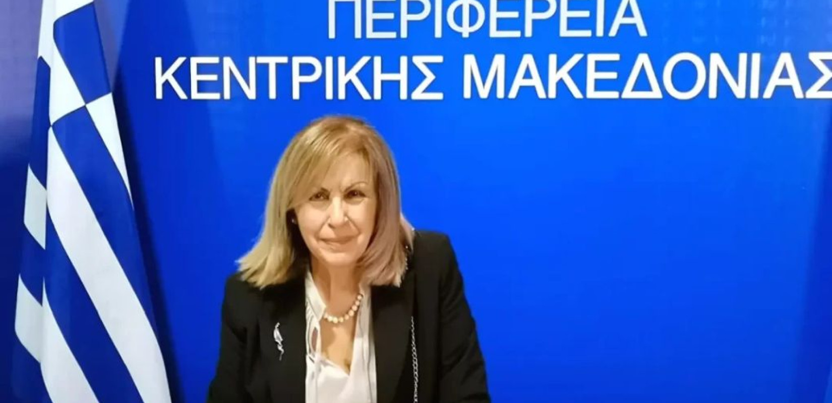 Α. Αηδονά: Παρουσίασε τις νέες δράσεις επιχειρηματικότητας στην Κ.Μακεδονία μέσω ΕΣΠΑ - Στο επίκεντρο η Πέλλα και η Έδεσσα