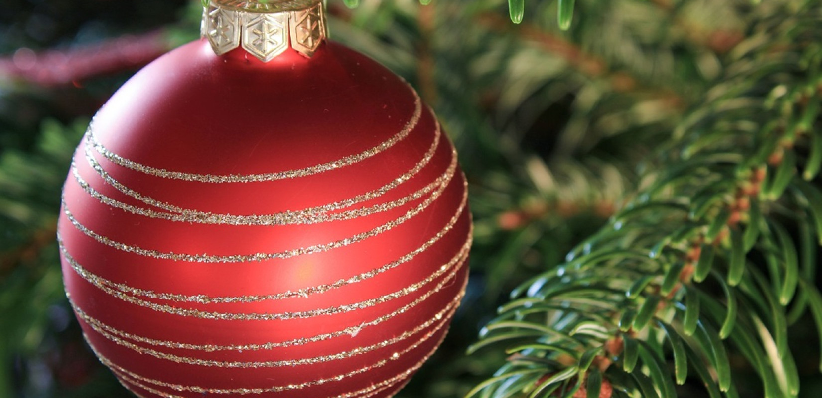 Άναμμα του Χριστουγεννιάτικου Δέντρου στην πλατεία Τσομπάνογλου Μενεμένης