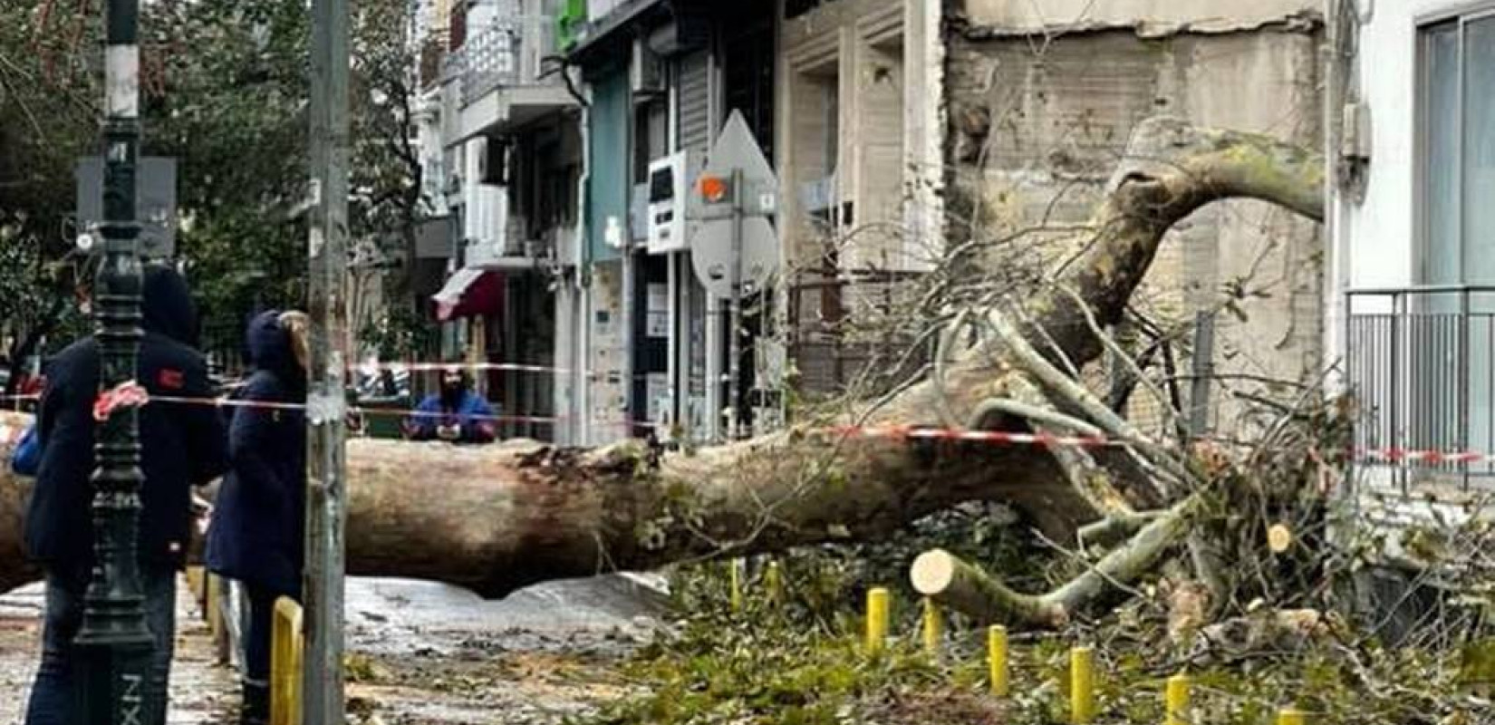 Θεσσαλονίκη: Ξεριζώθηκαν πελώρια δέντρα στο κέντρο - Καταστροφές σε καταστήματα και αυτοκίνητα (φωτ.)