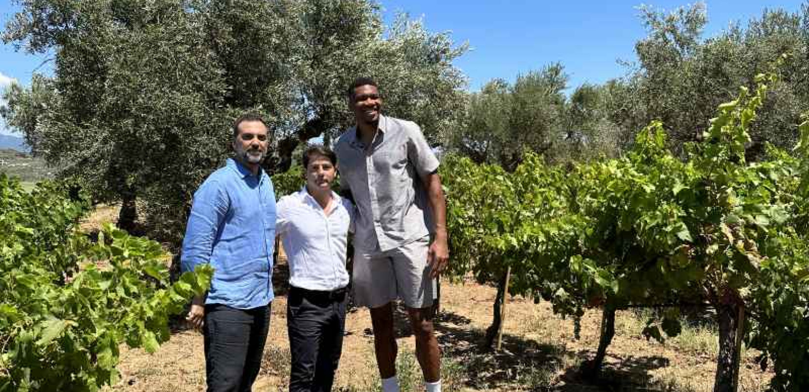 Στην Premia Properties και την οικογένεια Αντετοκούνμπο περνά το Village Cinema Ρέντη