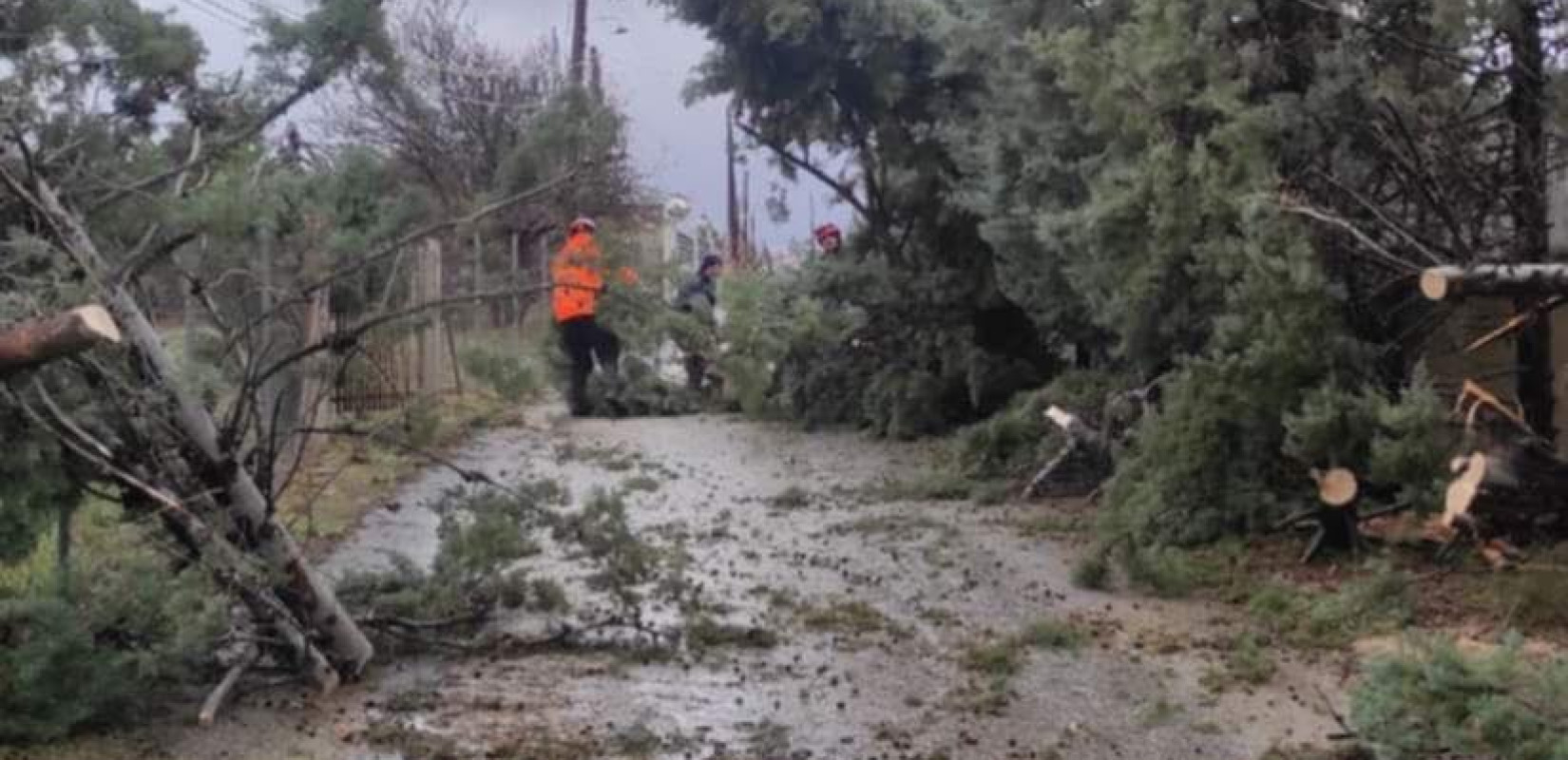 Χαλκιδική: Ολοκληρώθηκε η καταγραφή των περιοχών που έπληξε η κακοκαιρία «Bora»