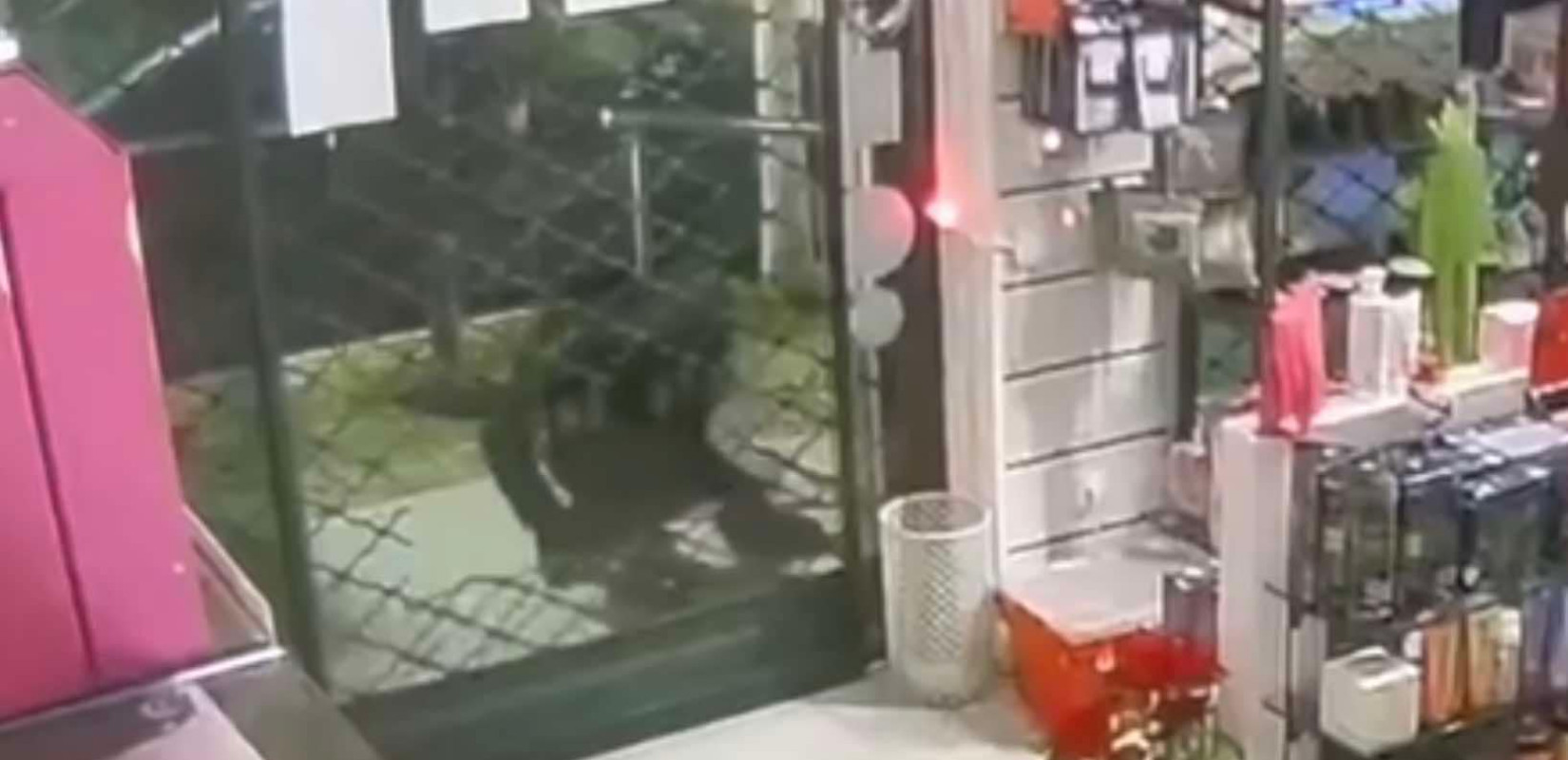 Mπαράζ διαρρήξεων σε φαρμακεία στη δυτική Θεσσαλονίκη - Βίντεο ντοκουμέντο με τον  «ψαλιδοχέρη» Mπαράζ διαρρήξεων σε φαρμακεία στη δυτική Θεσσαλονίκη - Βίντεο ντοκουμέντο με τον  «ψαλιδοχέρη»