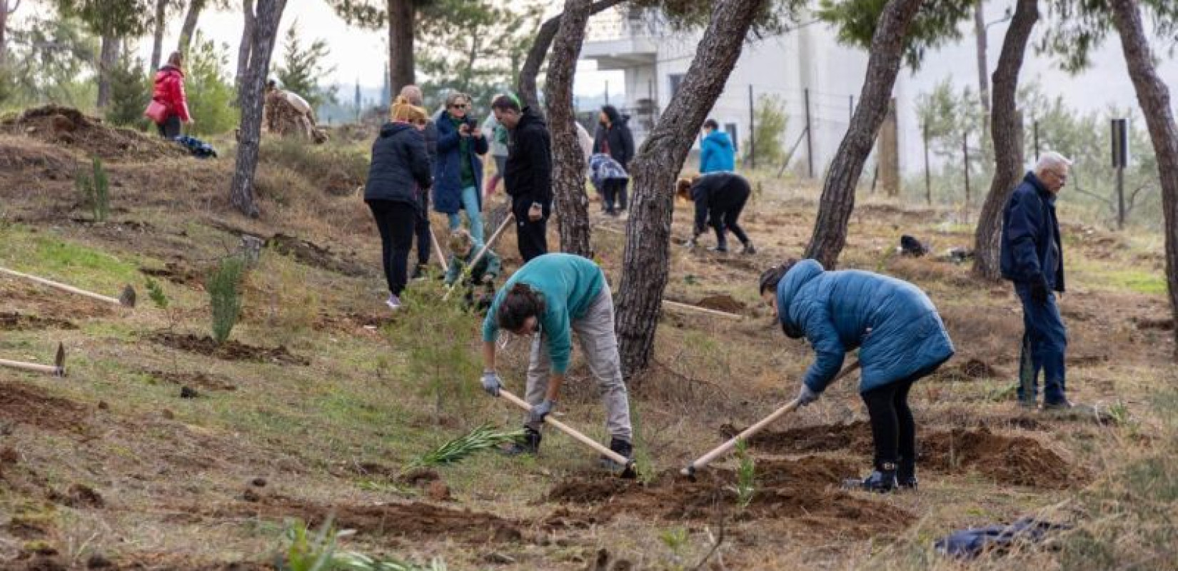 Θεσσαλονίκη: Ακόμα 1.000 νέα δέντρα φυτεύτηκαν σήμερα στο δάσος Τριανδρίας (φωτ.)