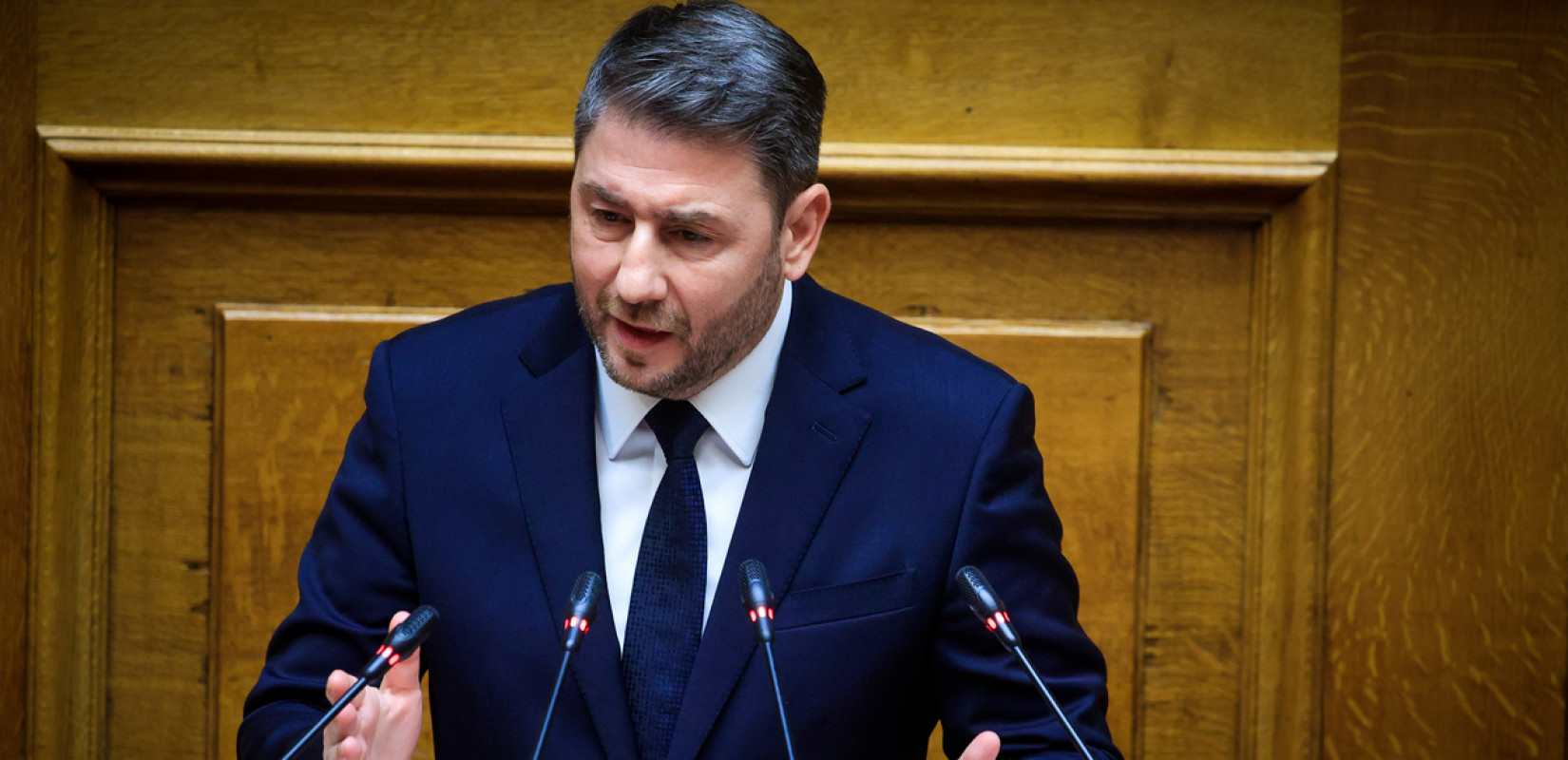 Ν. Ανδρουλάκης: «Κοινή εξωτερική πολιτική, κοινοί εξοπλισμοί και ευρωστρατός»
