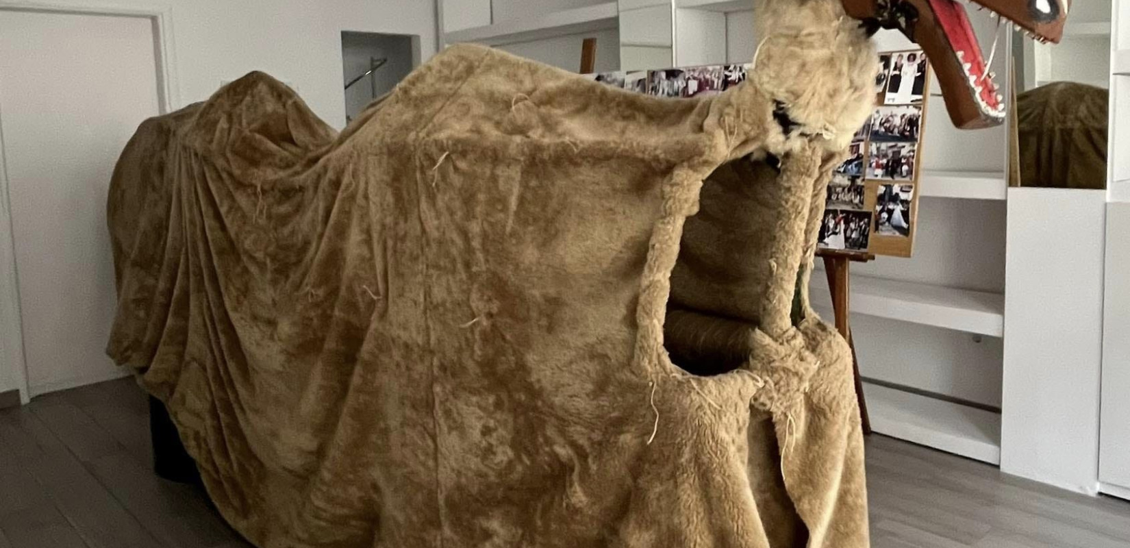 Χαλκιδική: Το έθιμο της «Καμήλας» & της νύφης αναβιώνει στη Γαλάτιστα