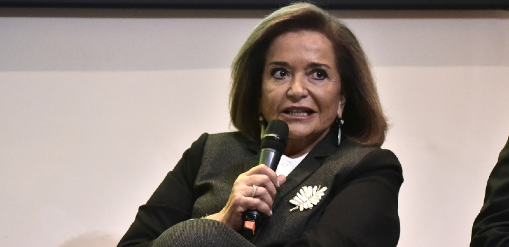 Ντ. Μπακογιάννη: Ο Τσίπρας μπούχτισε και θέλει να κάνει αρχηγικό κόμμα - Πιστεύω ότι θα κάνει ζημιά στο ΠΑΣΟΚ (βίντεο)