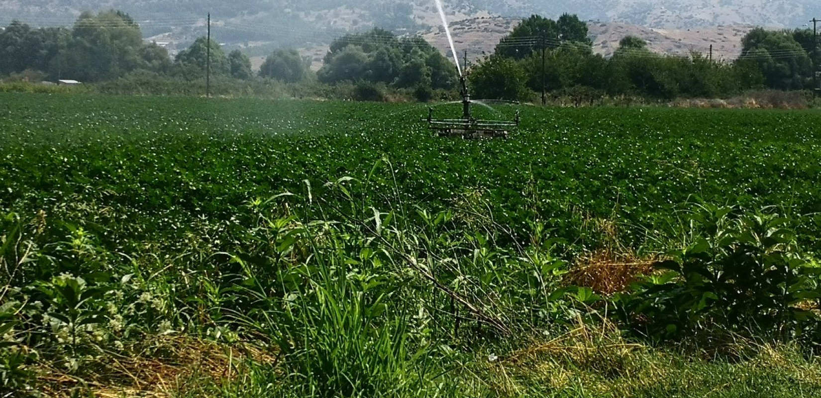 ΥΠΑΑΤ: Δυνατότητα εγγραφής στο Μητρώο για συνταξιούχους αναπηρίας που συνεχίζουν την αγροτική δραστηριότητα