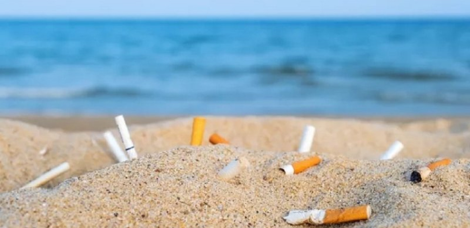Έκθεση WWF: Ελληνικές και μεσογειακές παραλίες «πνίγονται» στα πλαστικά Έκθεση WWF: Ελληνικές και μεσογειακές παραλίες «πνίγονται» στα πλαστικά