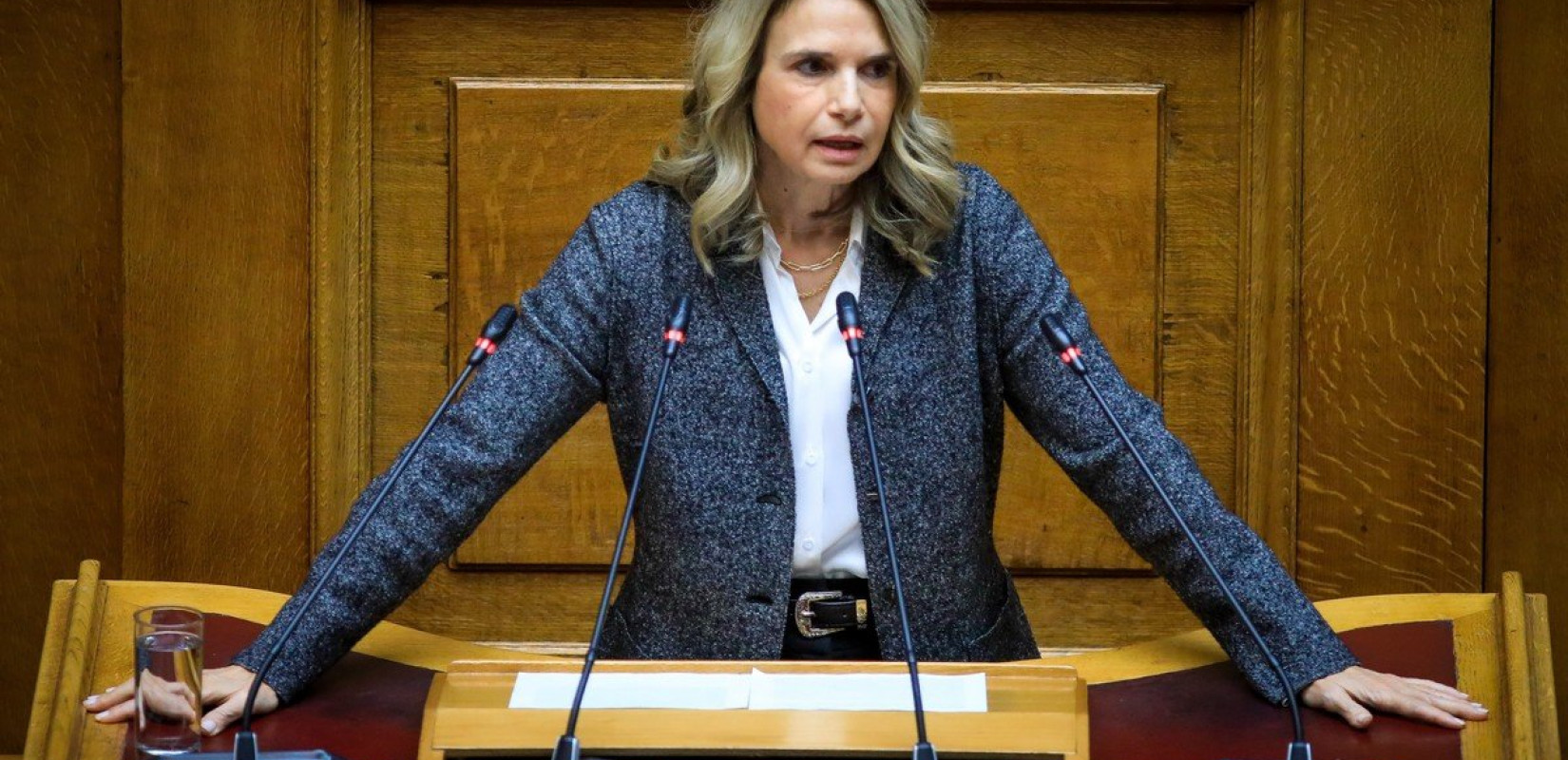 Μ. Αποστολάκη: «Πρώτα χάθηκαν περιουσίες και εκ των υστέρων ο κ. Πιερρακάκης υποδύεται τον σωτήρα»