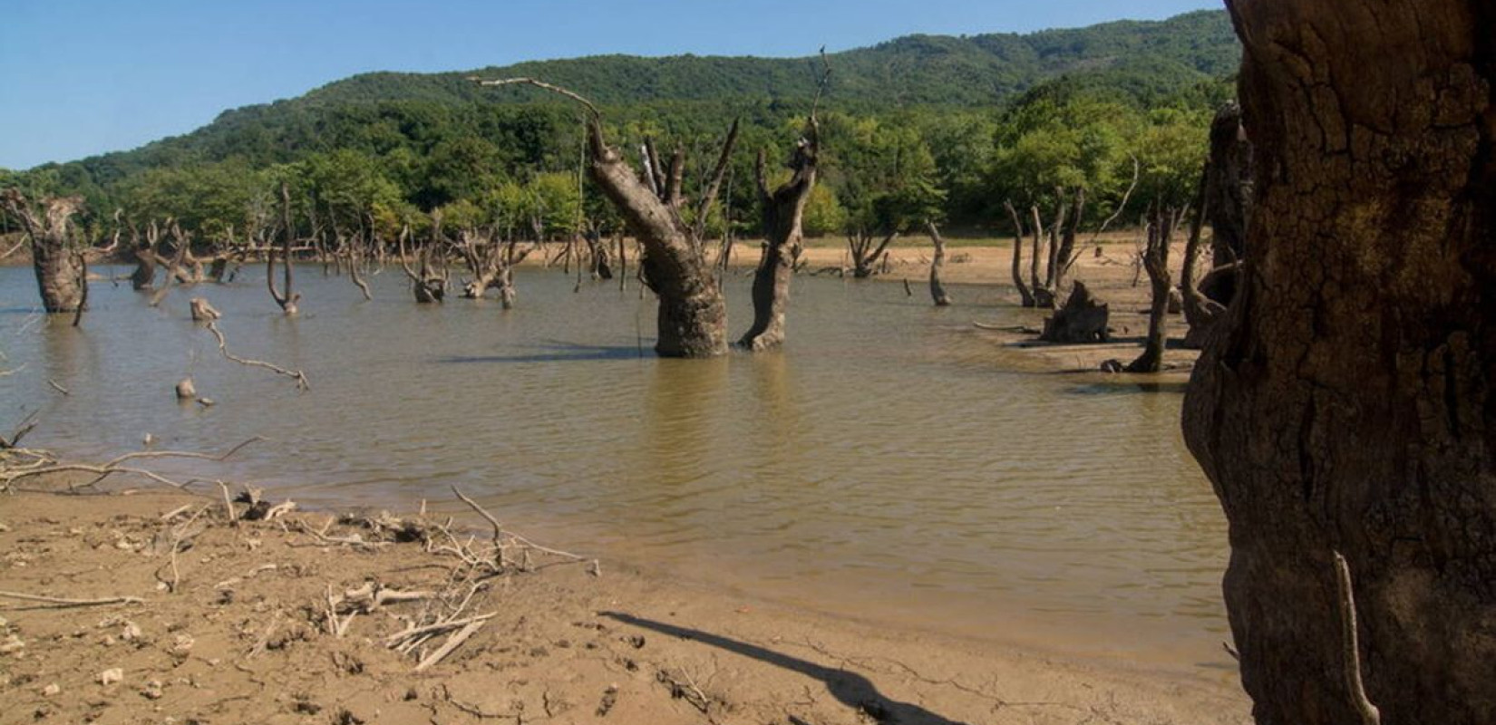 Λάρισα: Οι κρυφές ομορφιές στη Σκήτη Αγιάς (βίντεο) Λάρισα: Οι κρυφές ομορφιές στη Σκήτη Αγιάς (βίντεο)