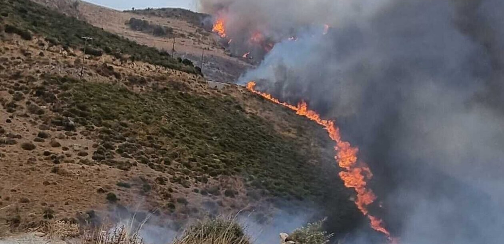Εύβοια: Υπό μερικό έλεγχο η πυρκαγιά στην Κάρυστο