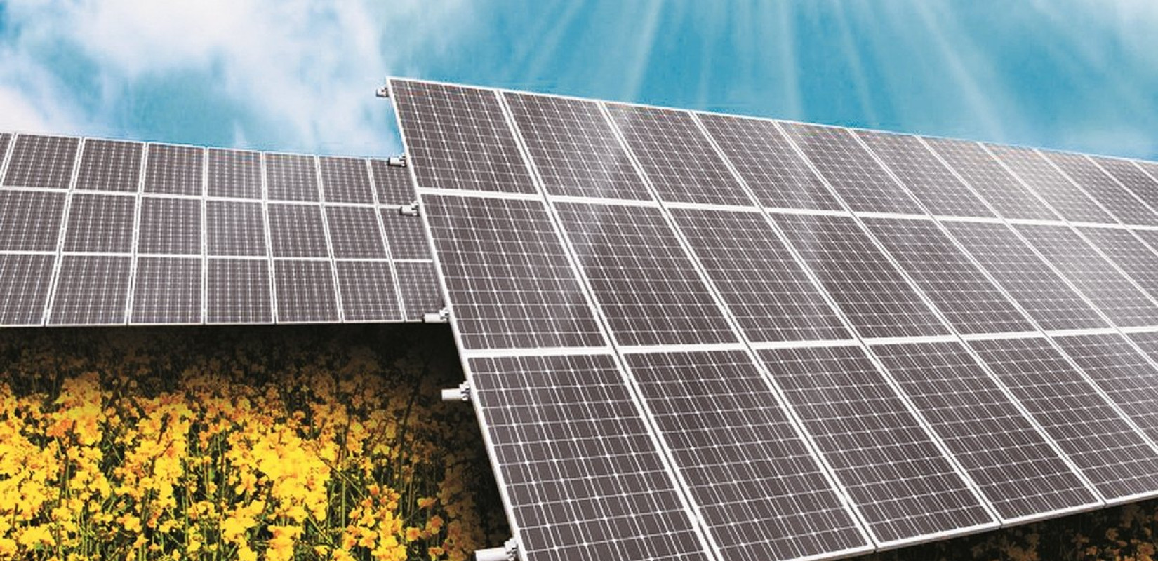 Κοζάνη: Στο Δημοτικό Συμβούλιο η εγκατάσταση φωτοβολταϊκού πάρκου εν μέσω αντιδράσεων από πολίτες