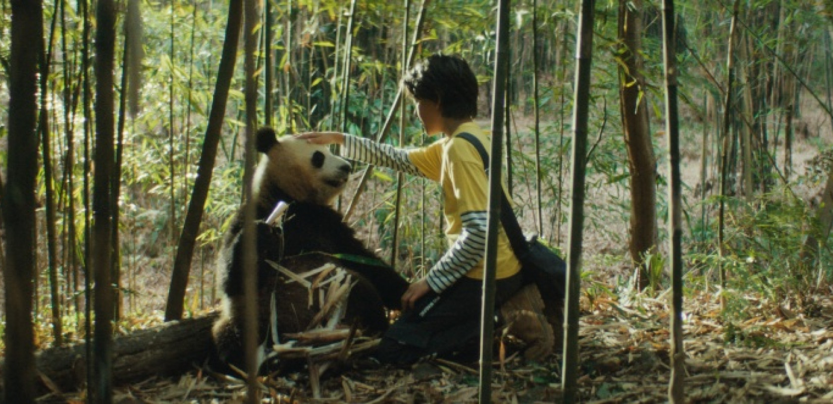 Οι νέες ταινίες της εβδομάδας: Ιλουστρασιόν εφιάλτες, βαμπίρ και το Μικρό μου Πάντα (βίντεο)