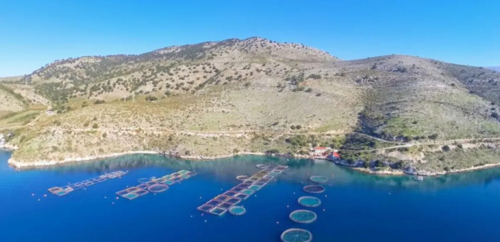 Επιμελητήριο Θεσπρωτίας: Ξεκίνησε σήμερα η υποβολή αιτήσεων στο πρόγραμμα «Παραγωγικές επενδύσεις στην υδατοκαλλιέργεια»