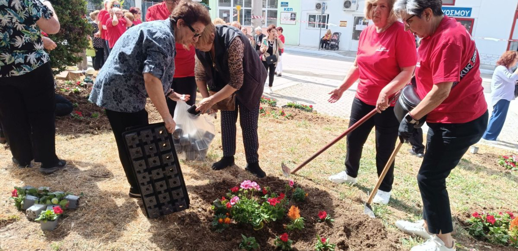Θεσσαλονίκη: Τα μέλη των ΚΑΠΗ Ευόσμου - Κορδελιού υιοθέτησαν πάρκο και φύτεψαν 400 λουλούδια
