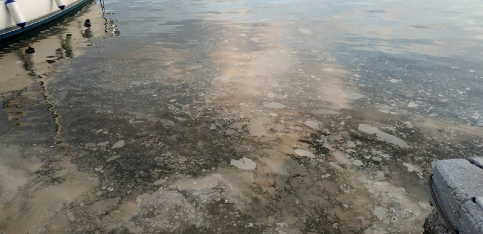 Αφόρητη δυσοσμία στο λιμάνι του Βόλου - Ελήφθησαν δείγματα για αναλύσεις