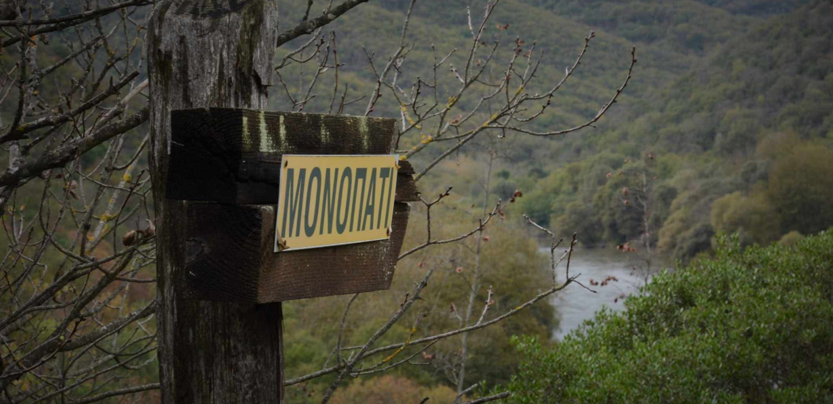 Μία όμορφη εκδήλωση στη φύση και στο παρόχθιο δάσος του ποταμού Αξιού