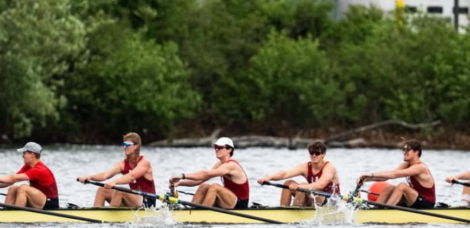 Διαπρέπει με εντυπωσιακές επιδόσεις στο Harvard ο νεαρός Λυκομήτρος