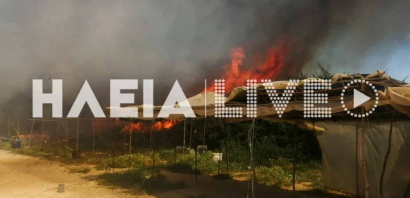 Μανωλάδα: Φωτιά σε καταυλισμό εργατών γης - Ακούγονται εκρήξεις