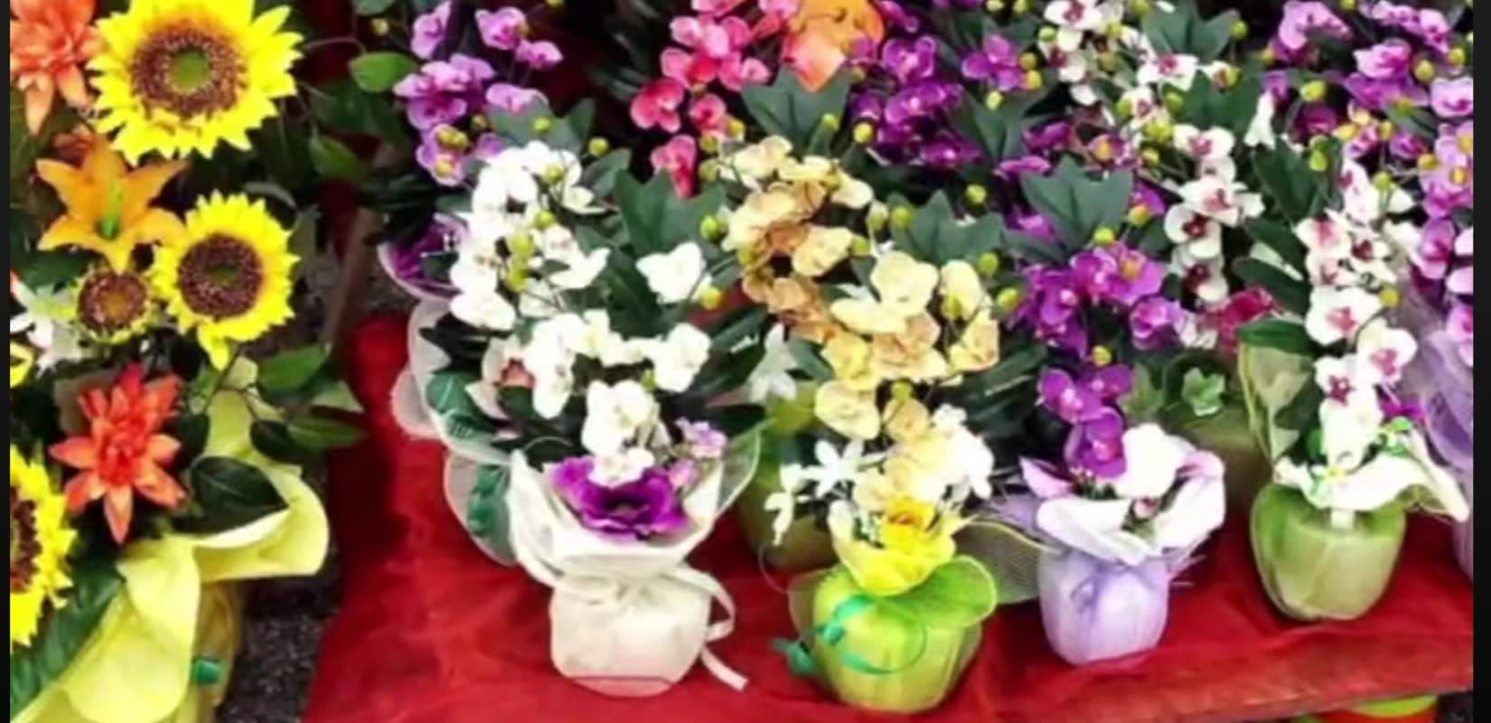 Σέρρες: Ξεκινά η 1η Ανθοκομική Έκθεση στο Σιδηρόκαστρο