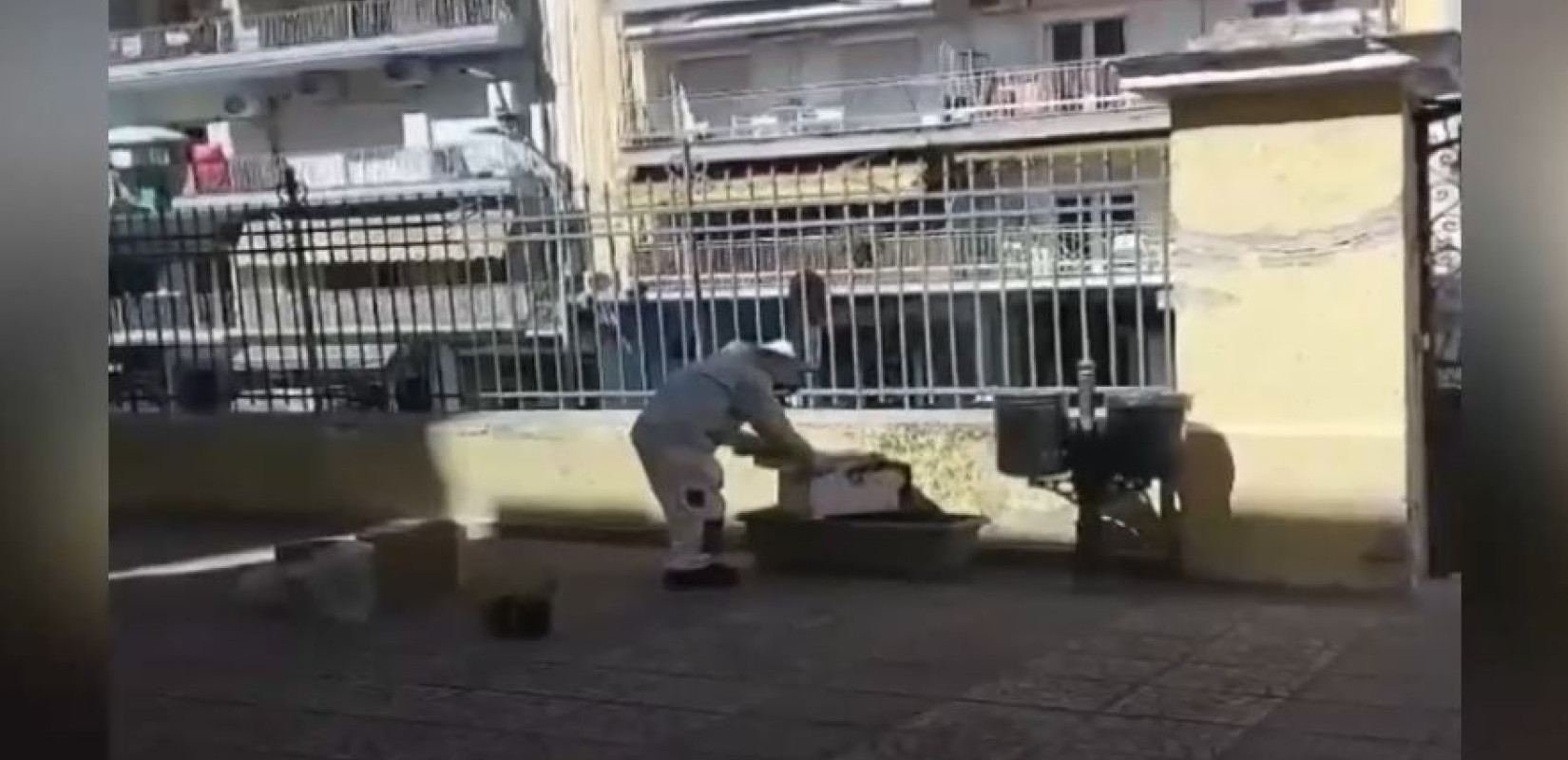 Θεσσαλονίκη: Μελίσσι αναστάτωσε δημοτικό σχολείο - Το απομάκρυνε μελισσοκόμος (βίντεο)