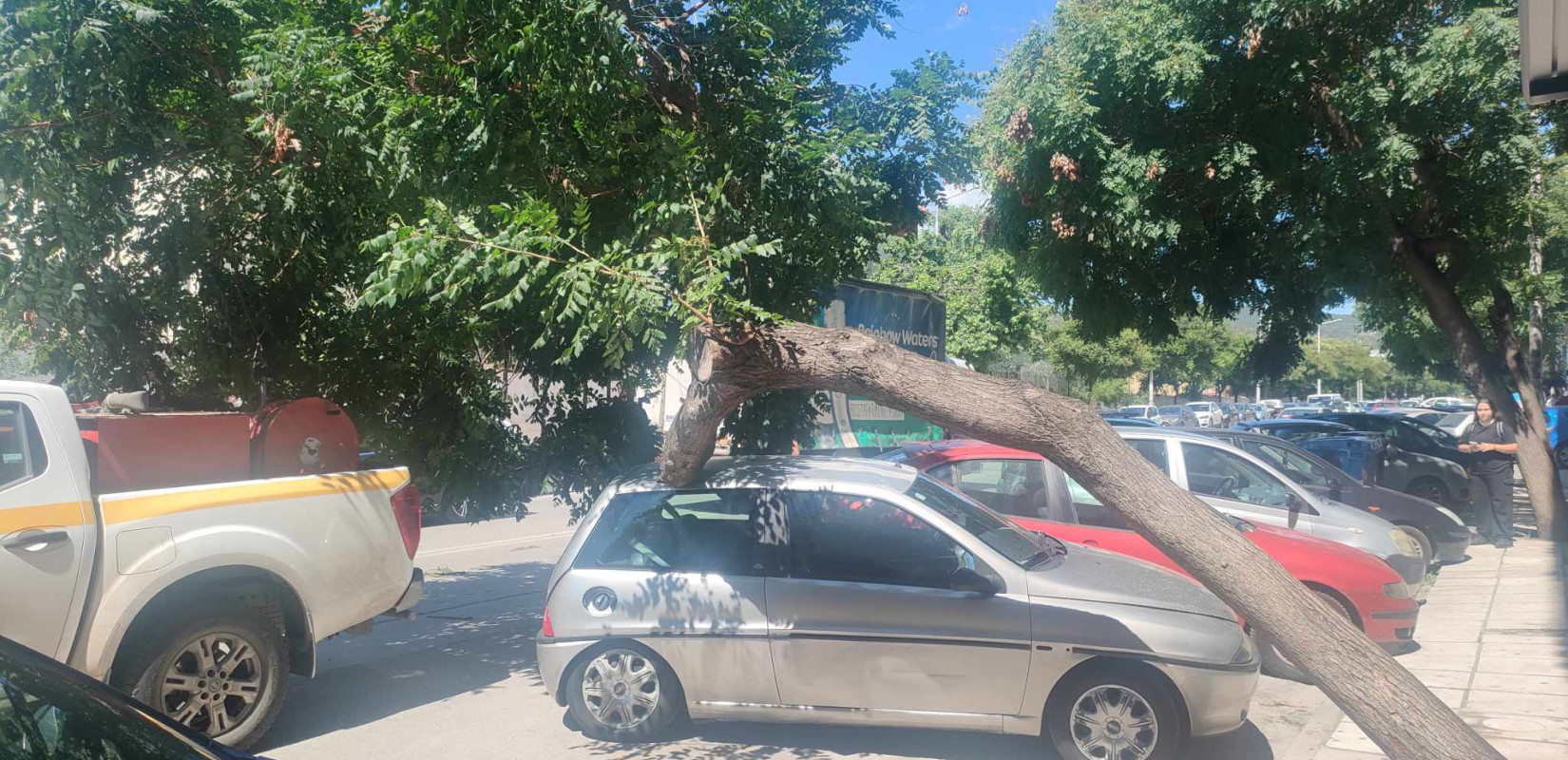 Θεσσαλονίκη: Έπεσε δέντρο σε ΙΧ στην Καυταντζόγλου - Δείτε φωτογραφίες
