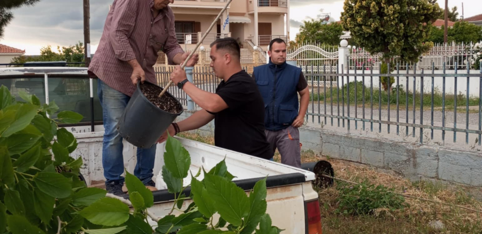 Δήμος Πολυγύρου: Δενδροφύτευση με τη συμβολή της νεολαίας Καλυβών